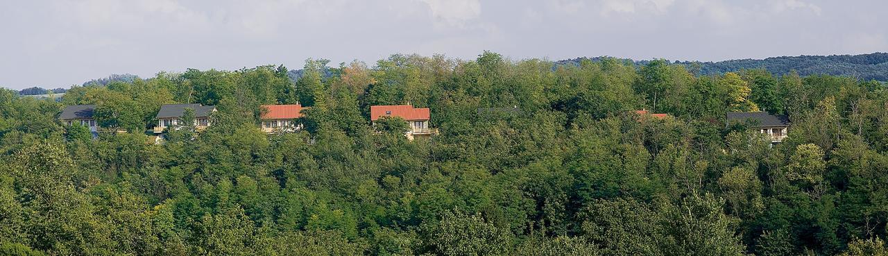 Hotel Robiniapark Szolad Exteriér fotografie